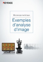 Microscope numérique Exemples d’analyse d’image