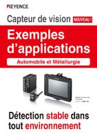 Capteur de vision Exemples d'applications [Automobile et Métallurgie]