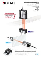 Série IG/IB Capteurs Laser Catalogue de la gamme
